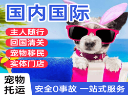 柳州空运代理国际宠物托运 【国